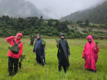 薬草栽培支援事業